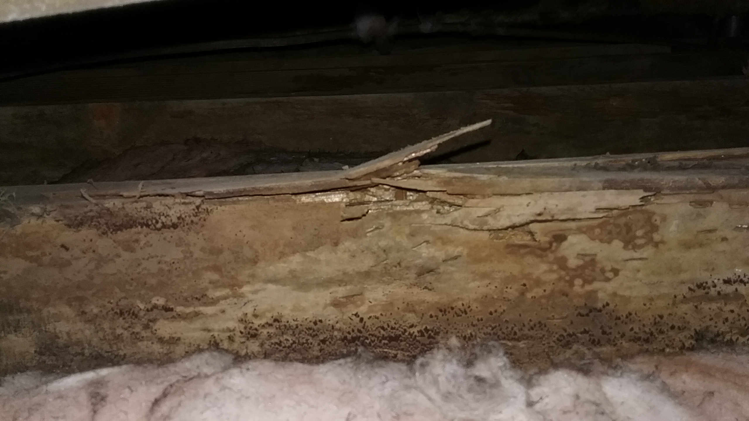 rotting-beam-replacement