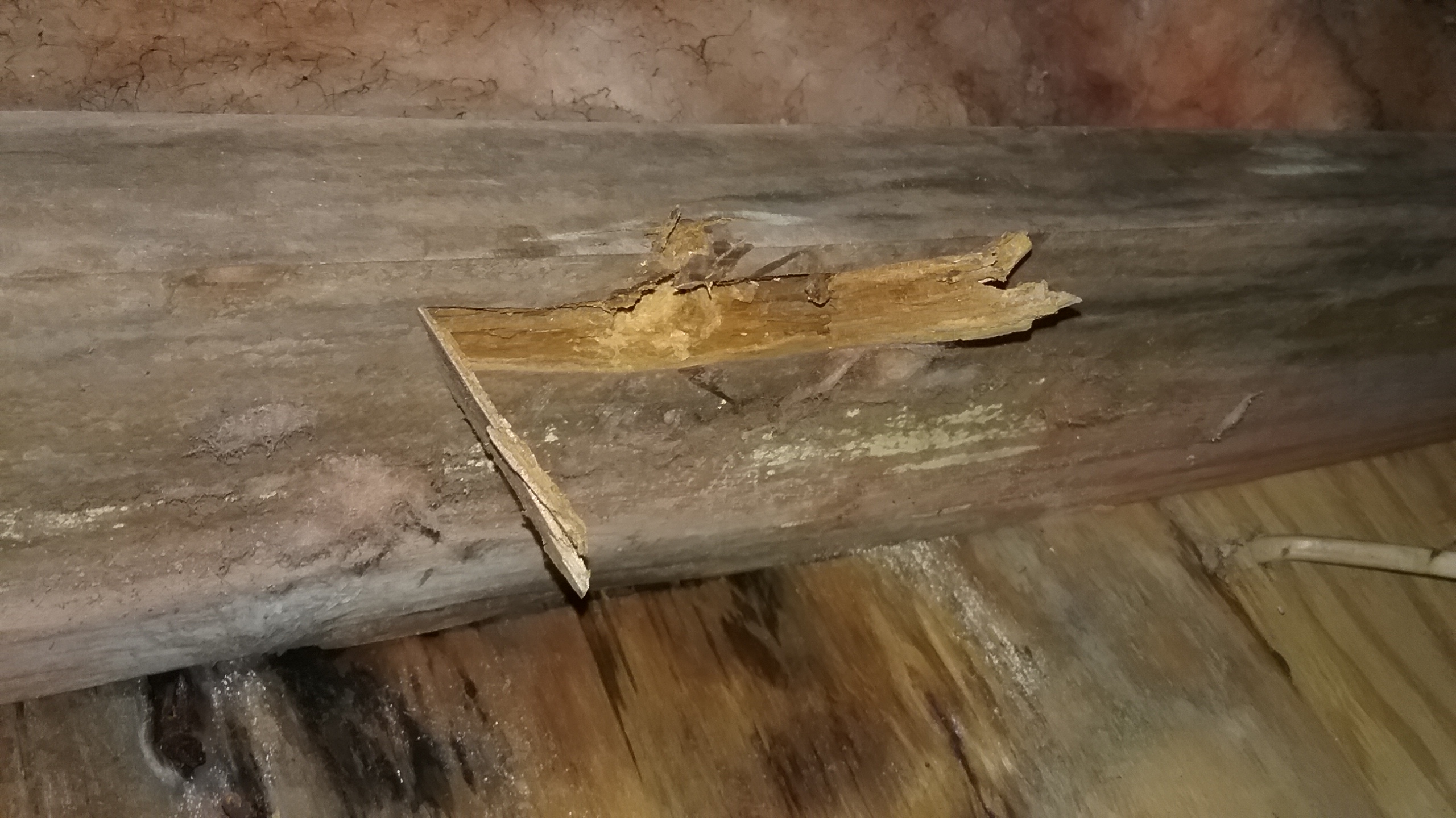 beam-replacement-before