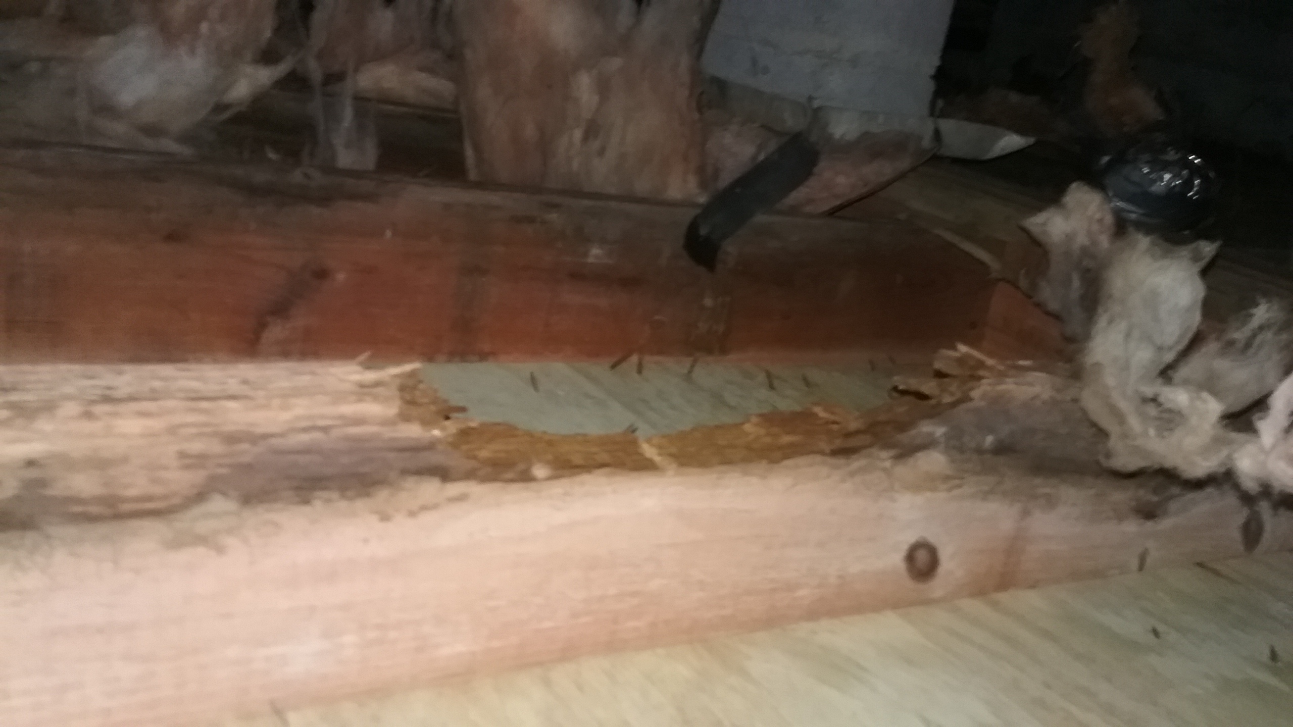 rotting-beam